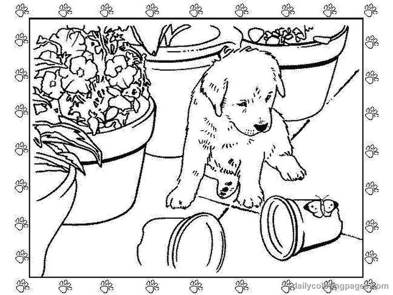 labrador retriever puppy coloring pages