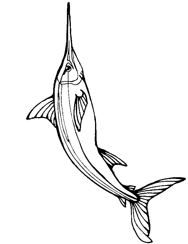 Fish Coloring Page | Swordfish
