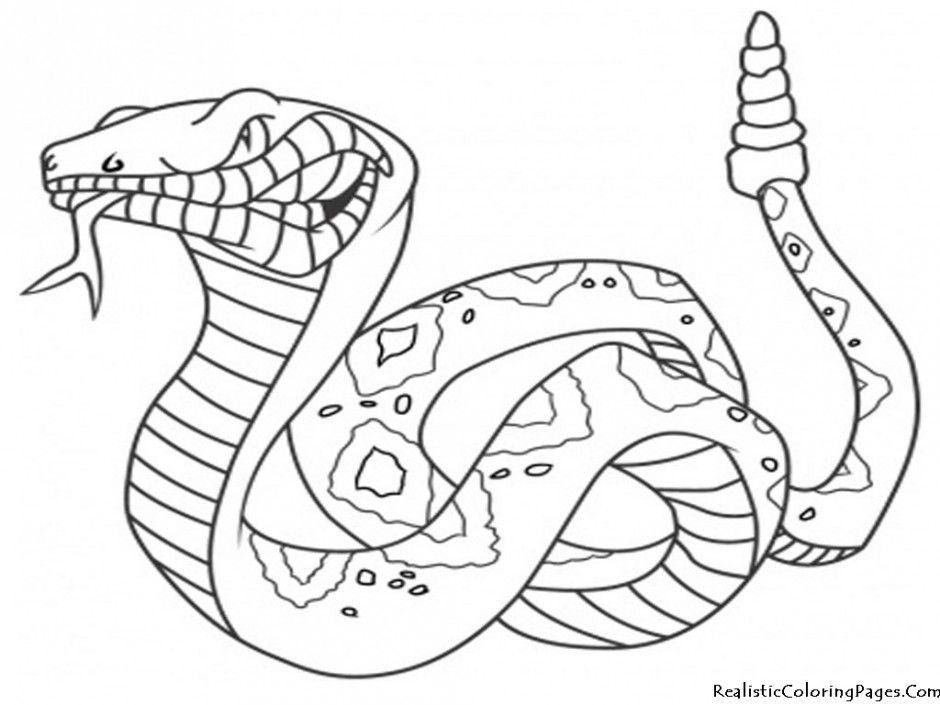 Desert Coloring Pages American Desert Coloring Pages Desert