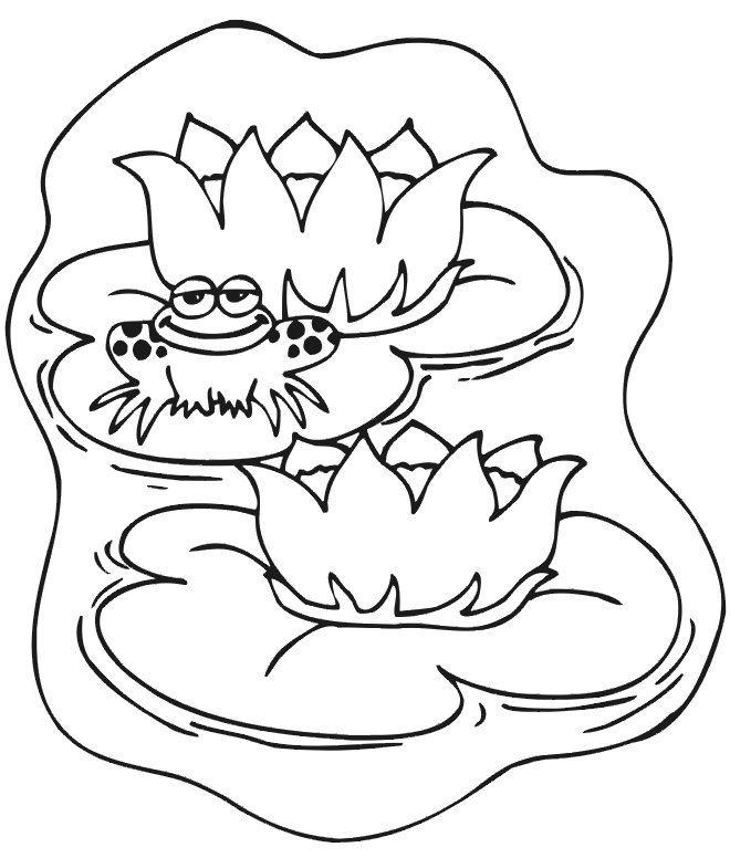 Frog Coloring Page | Frog on a Lily Pad