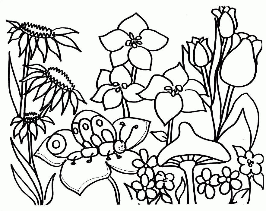 free-flower-garden-coloring-pages-download-free-flower-garden-coloring-pages-png-images-free