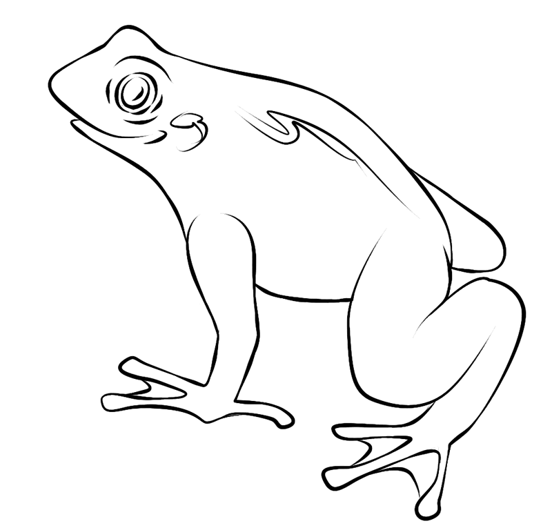 FREE Frog Coloring Pages to Print Out and Color!