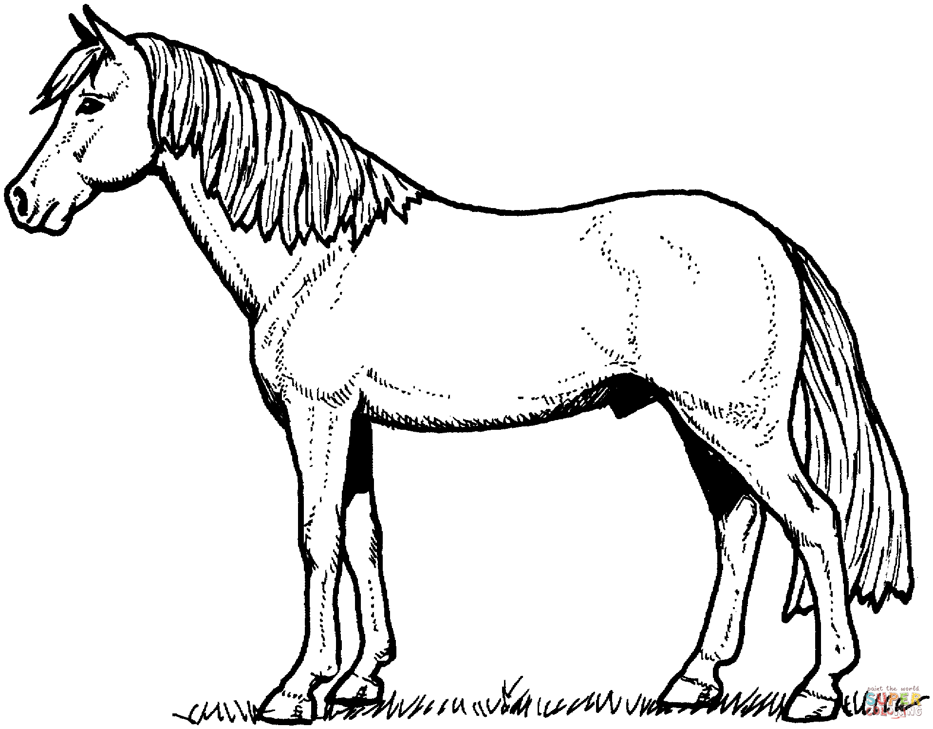 Featured image of post Coloring Free Realistic Wild Horse Horse Coloring Pages : Easy and free to print horse coloring pages for children.