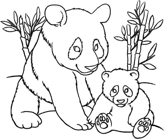 Coloring pages, Pandas and Coloring