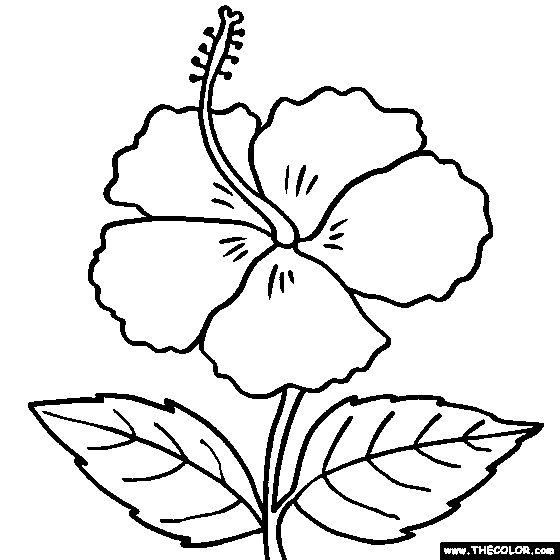 Hibiscus Flower Online Coloring Page