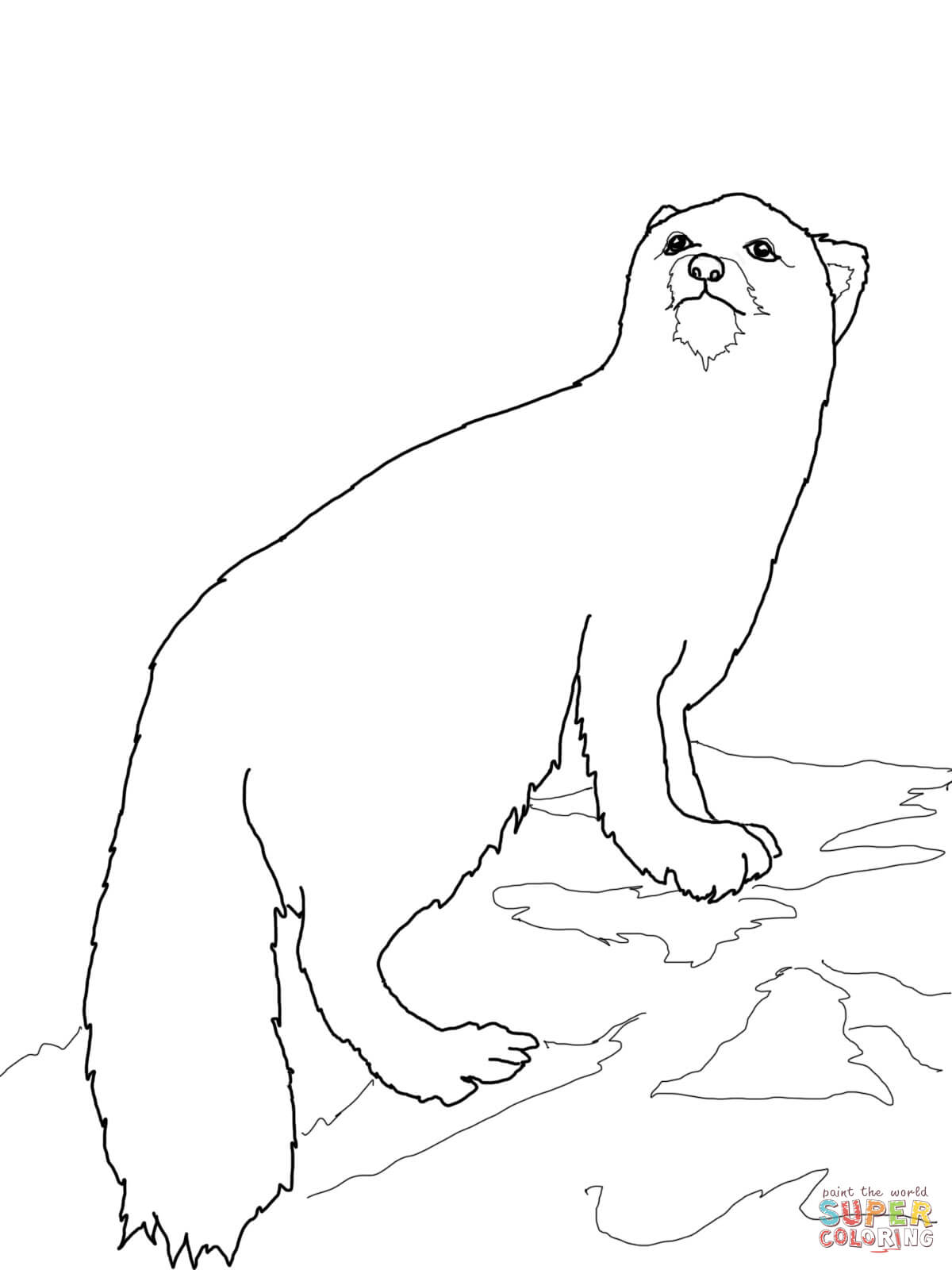 Arctic Fox coloring pages | Free Coloring Pages