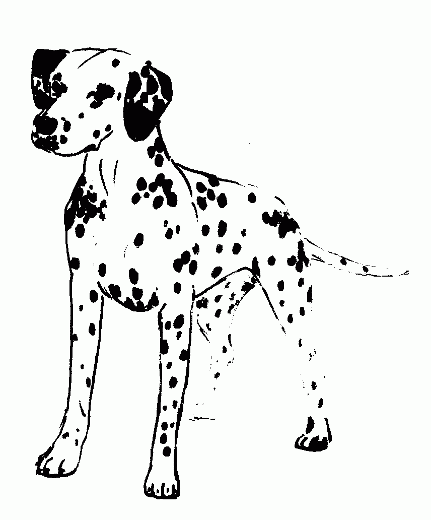Dalmatian Coloring Pages Printable - Goimages Book