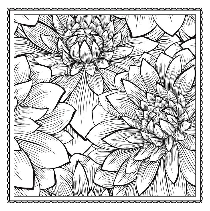 my | Adult Coloring, Adult