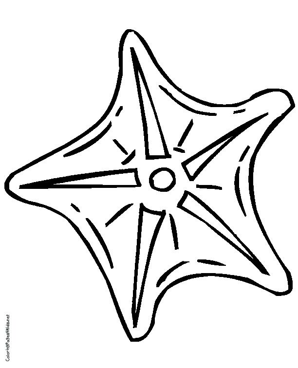 Starfish Coloring Page | Clipart library - Free Clipart Images