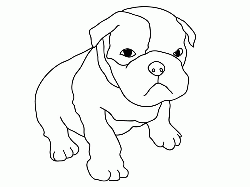 free-pitbull-puppies-coloring-pages-download-free-pitbull-puppies