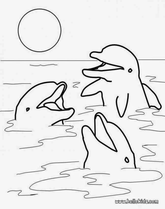 dolphin coloring pages print - Free 