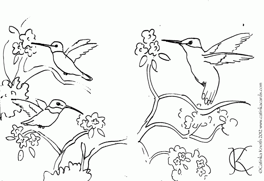 ide coloring-pages-hummingbirds-20 Best Coloring Pages Download