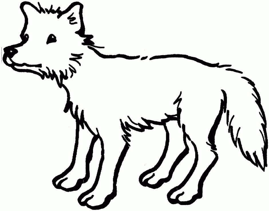Coyotes Howling In Desert Coyote Coloring Pages