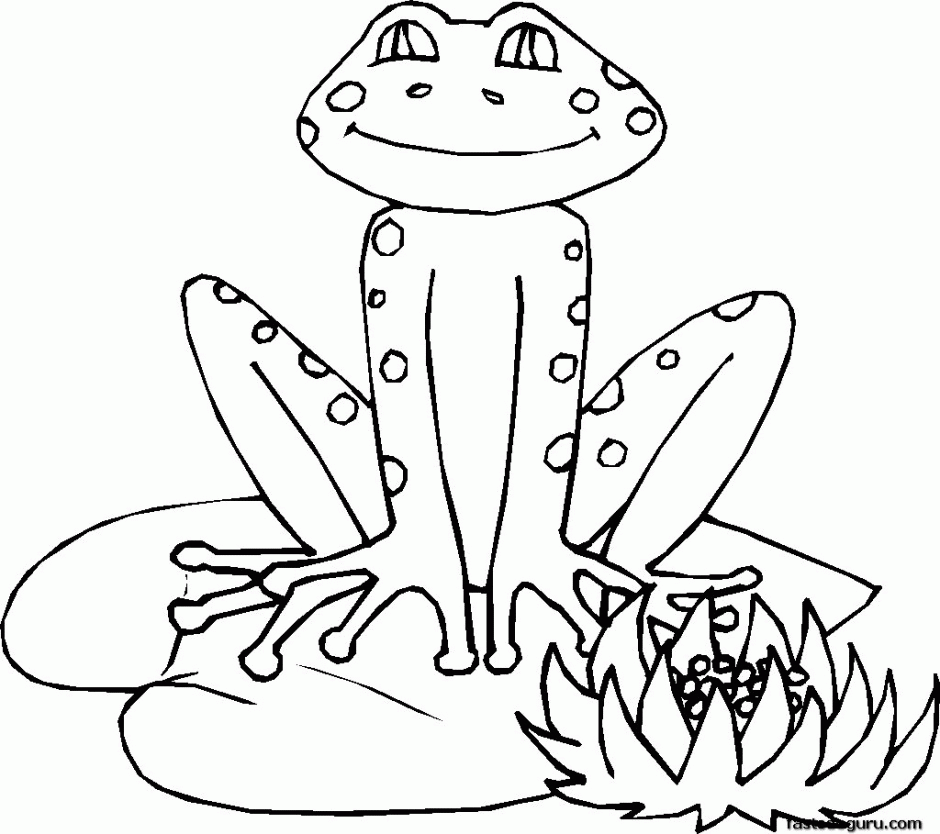 Frog Coloring Pages Printable Coloring Pages Pictures Leap