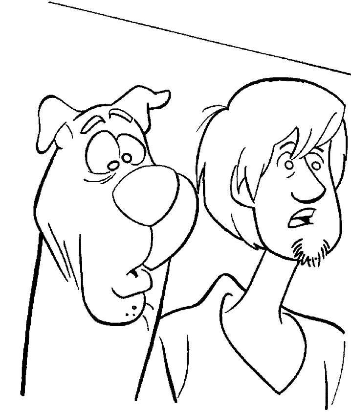 Pix For  Scooby Doo Cartoon Shaggy
