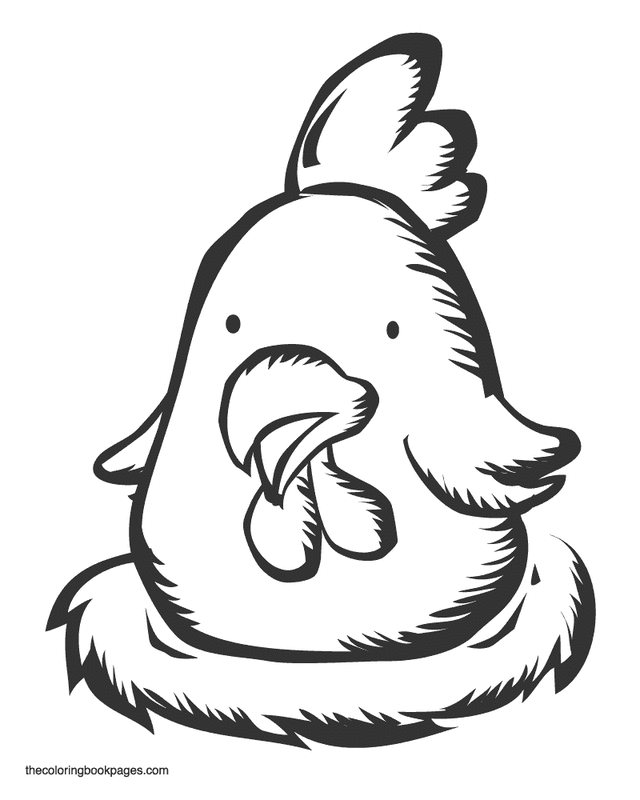 Cute baby chicken - Chicken and rooster coloring book pages