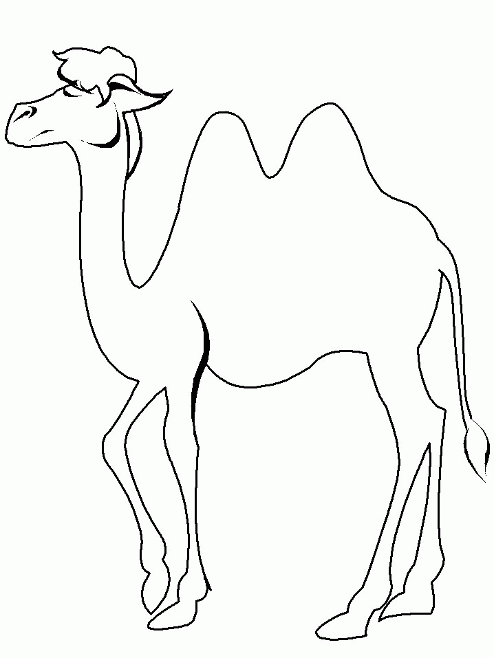 Free Printable Camel 