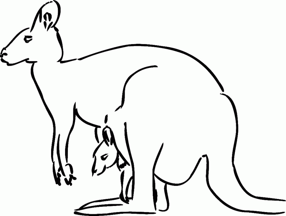 Animals Coloring Page Label African Animals Coloring Book