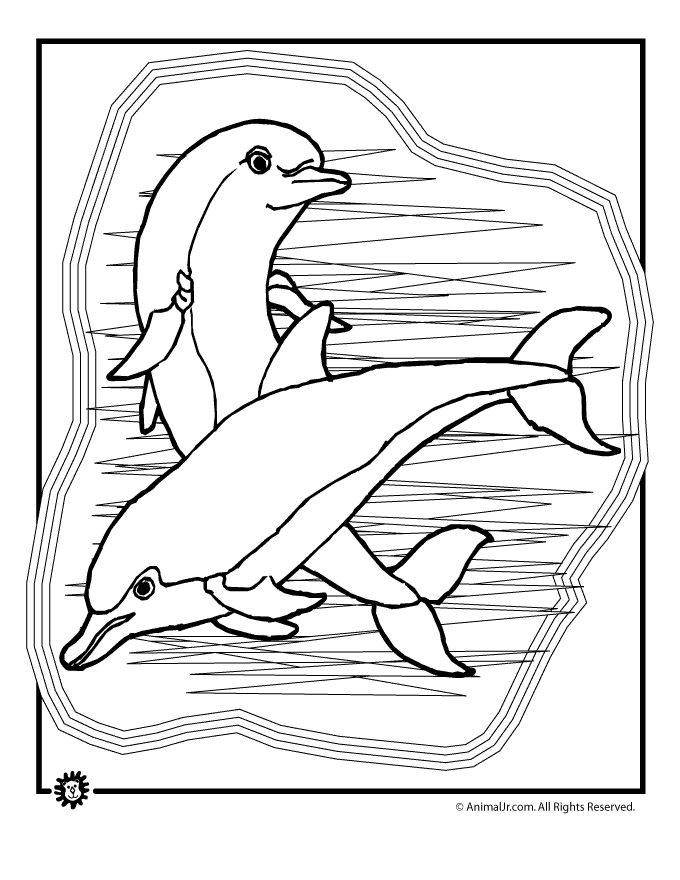 Dolphin Printables