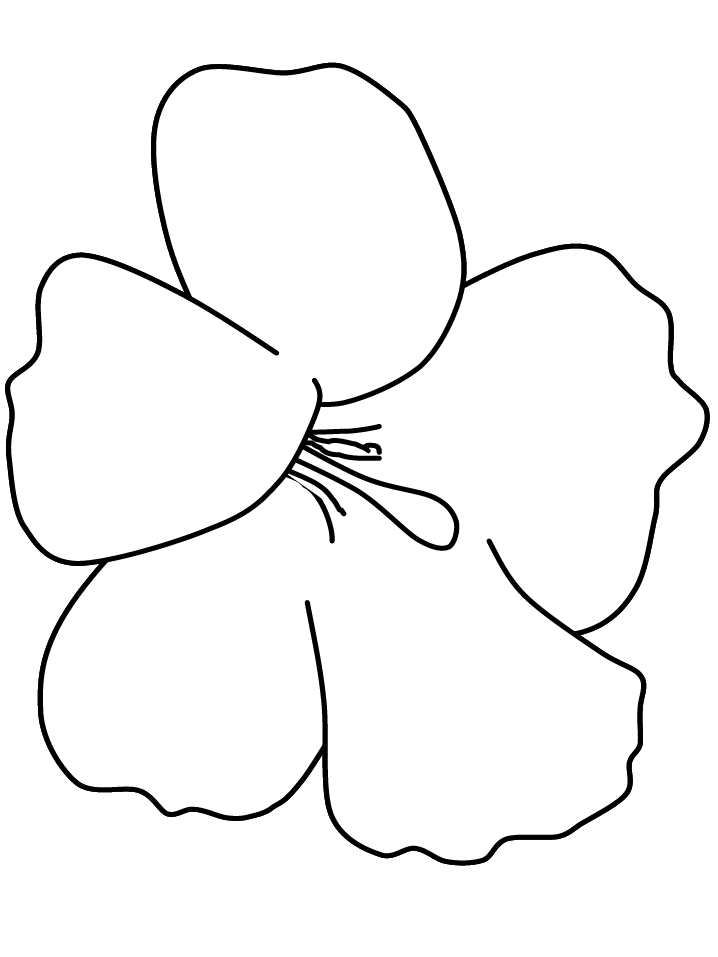 Pix For  Simple Sunflower Coloring Pages