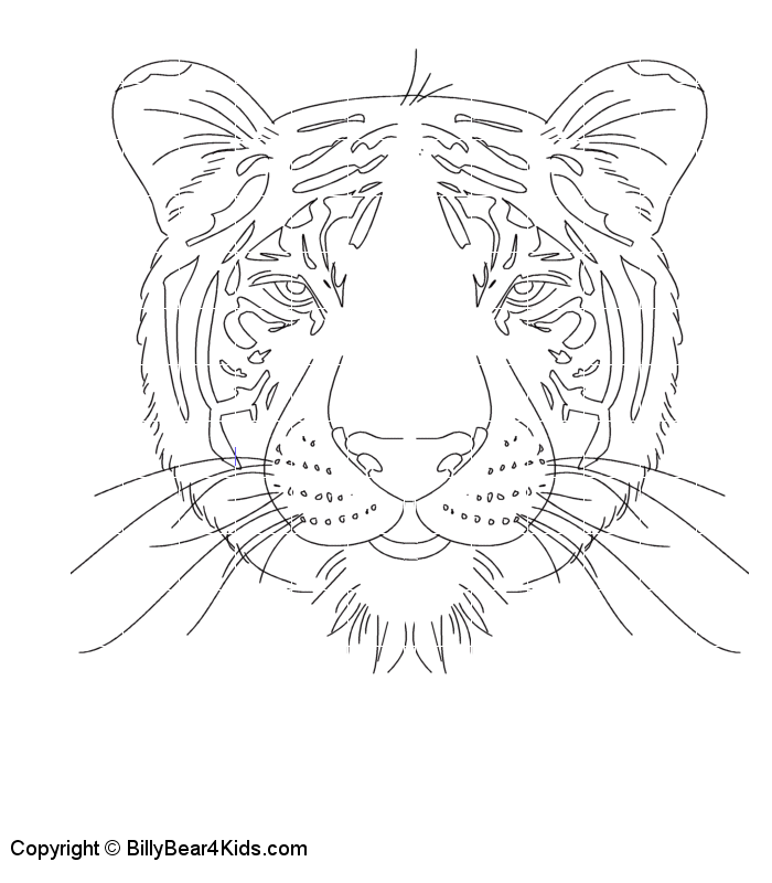Animal Scoop - Tiger 