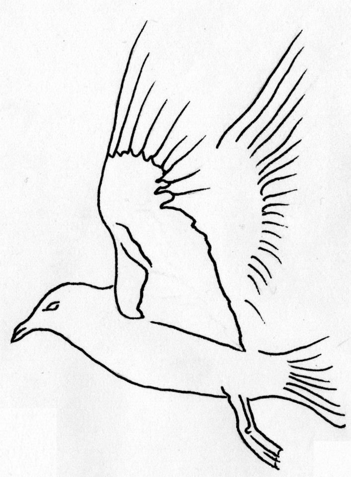 Seagull 3 traced | Tattoo design