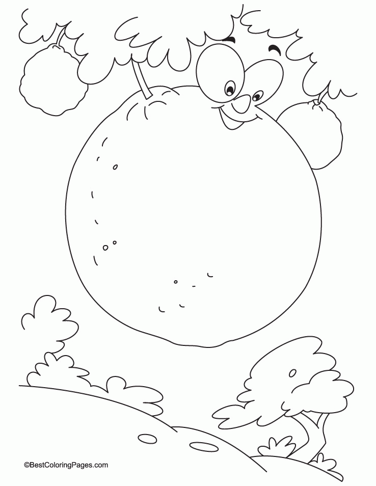 fresh juicy ornage on tree coloring page | Download Free fresh