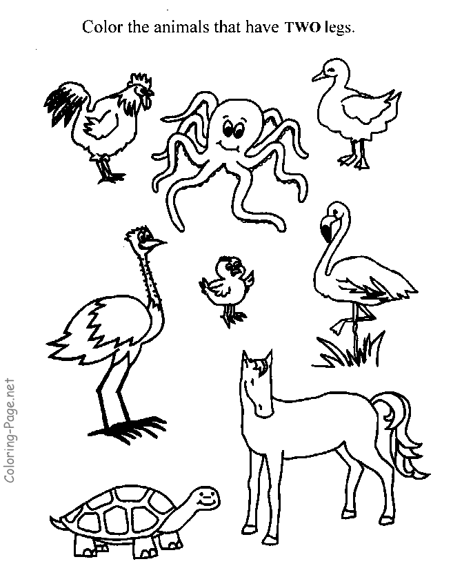 animals with different number of legs - Clip Art Library
