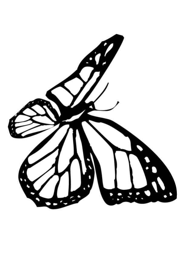 Printable monarch butterfly coloring page 