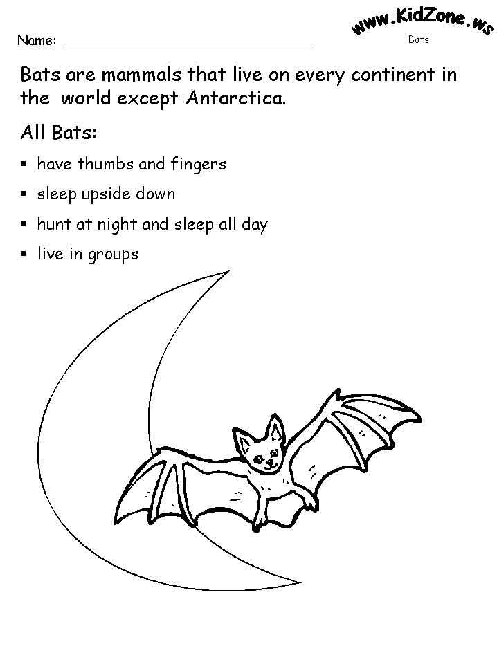 Bat Activity Sheets - About Bats | Halloween