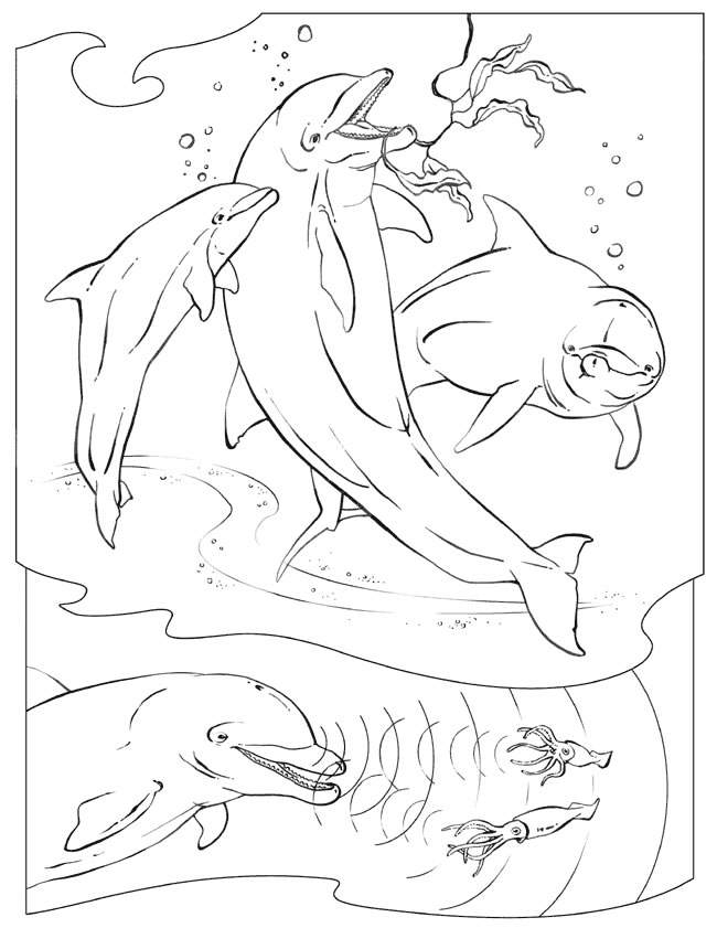 Ocean| Coloring Pages for Kids Free Printable Coloring Page