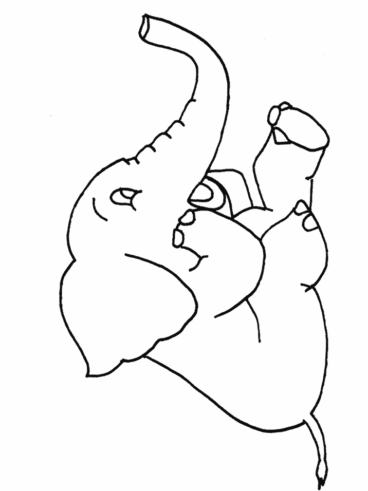 Circus Camel Coloring Pages