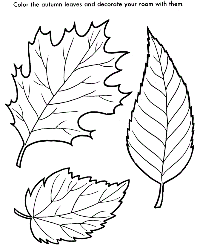 Free Printable Leaf Pictures