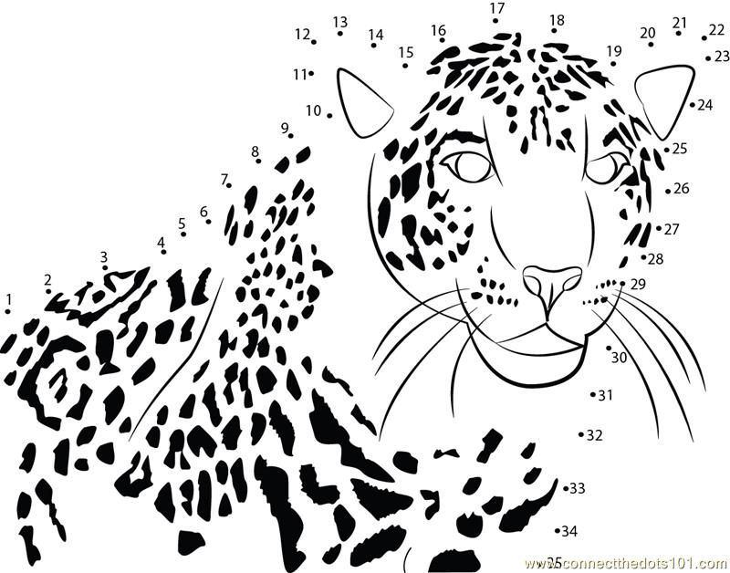 Connect the Dots Fast Runner Cheetah (Animals  Cheetah) - dot