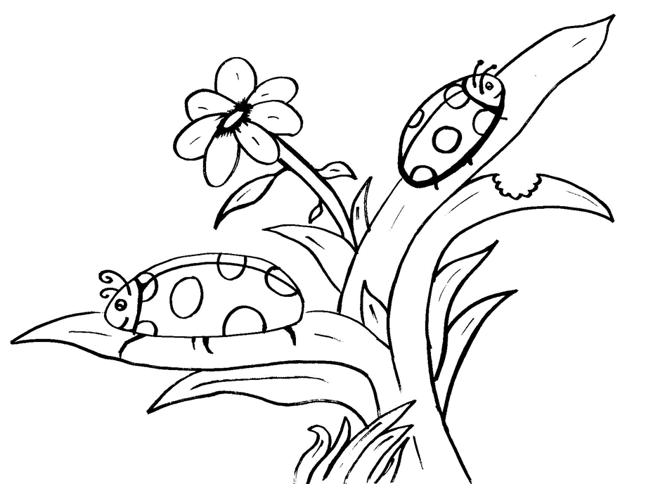 Animals Coloring Pages 