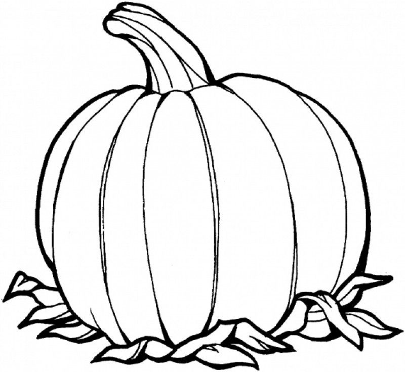 blank pumpkin Colouring Pages