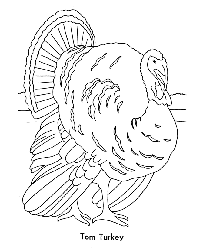 coloring pages - Tom Turkey Coloring Page Sheets