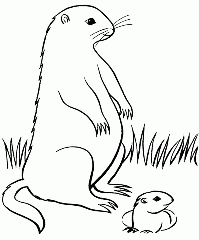 Groundhog Day Coloring Pages : Groundhog Day Was With Kids