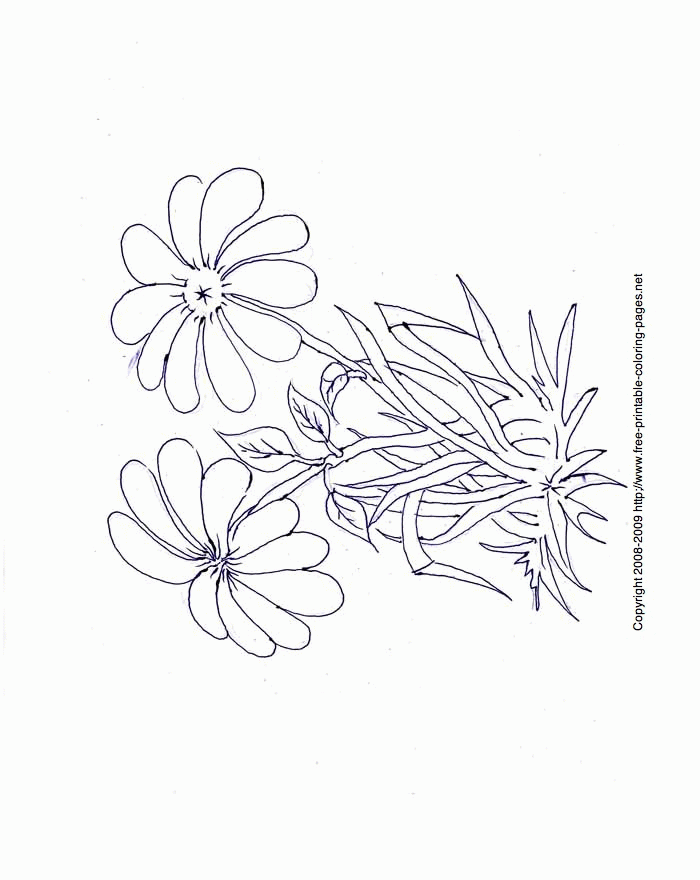 Flower Coloring Pages - Flowers Coloring Sheets