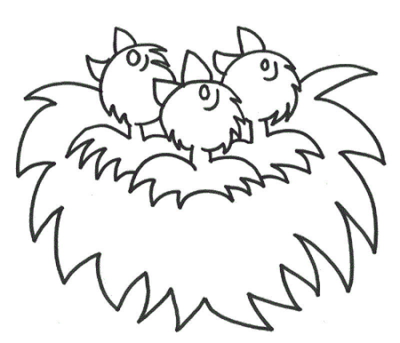 Coloring Pages Birds Nest 