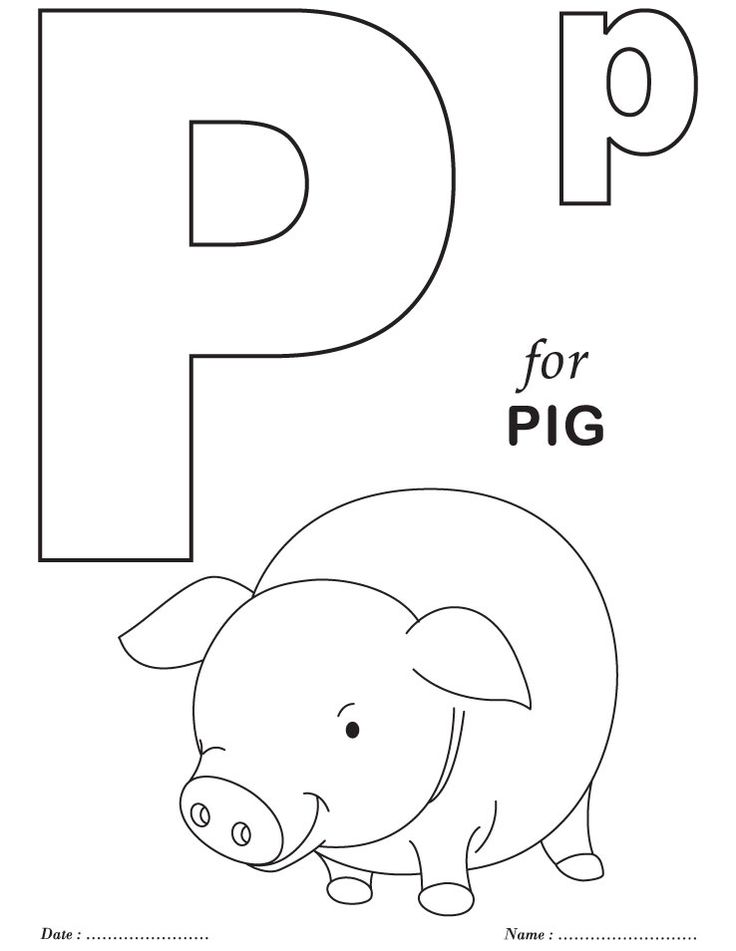 letter u clipart black and white pig