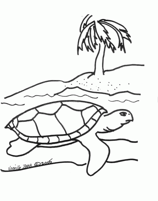 Sea Turtle Coloring  | Sea Turtle, Inc