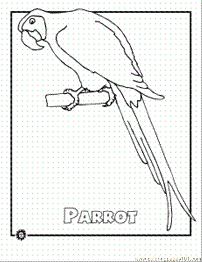Coloring Pages Ered Rainforest Parro (Birds  Parrots)| free printable