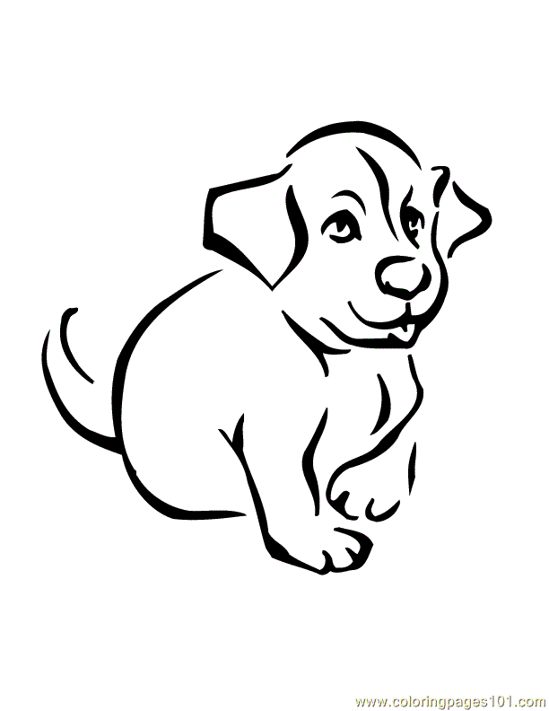 baby dogs Colouring Pages