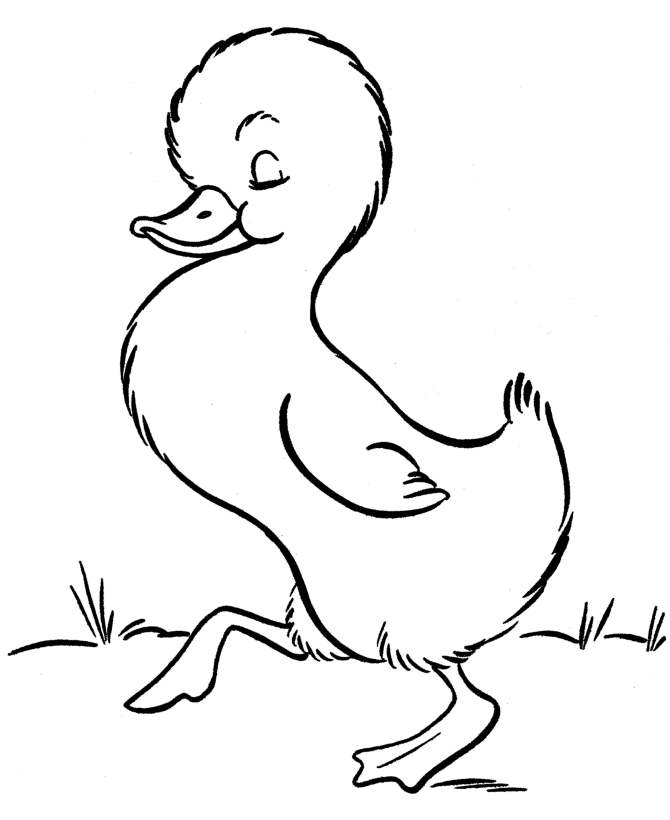 duck coloring pages | Coloring Picture HD For Kids 