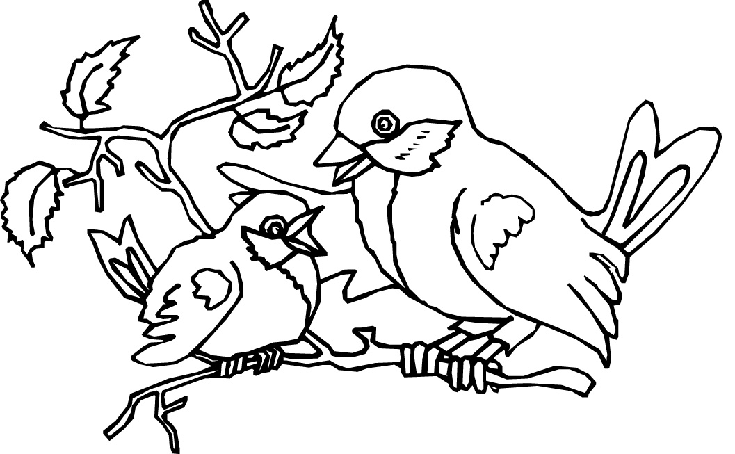 Colouring Pages Of Birds