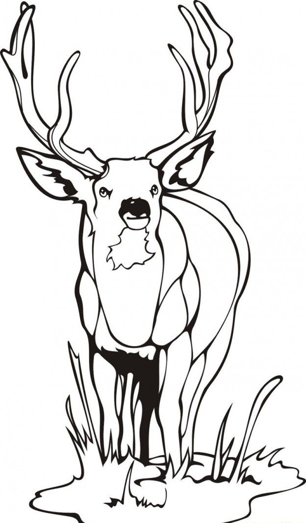 Free Printable Deer 