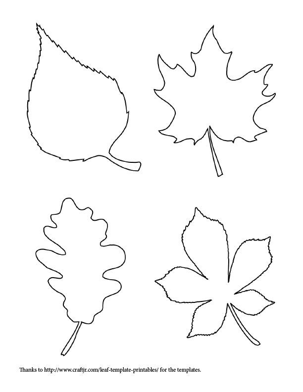 free fall leaf template | Templates~