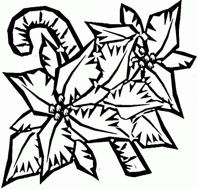 free-poinsettia-coloring-pages-download-free-poinsettia-coloring-pages-png-images-free