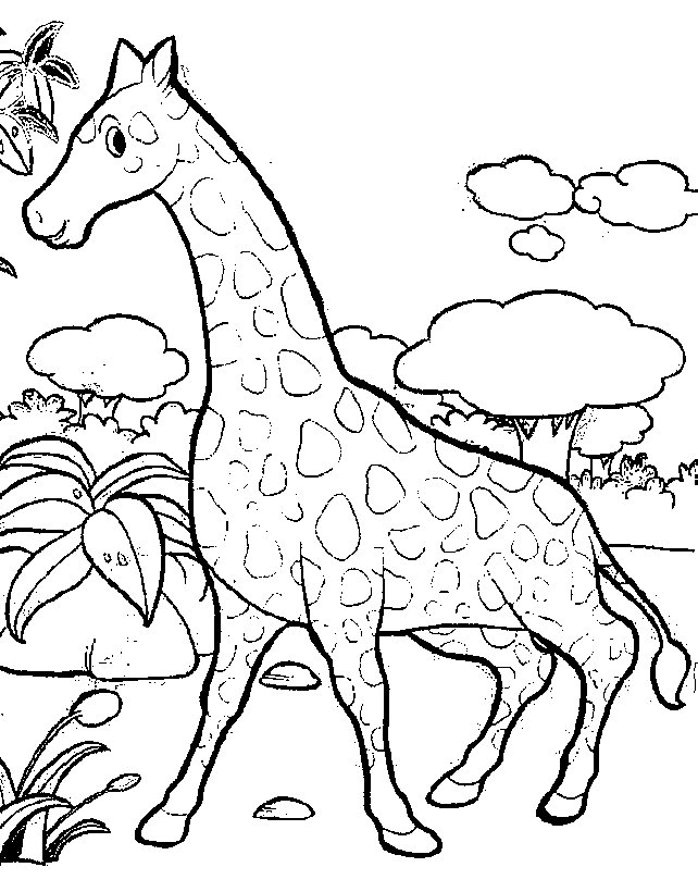Free Giraffe Print Pictures, Download Free Clip Art, Free Clip Art on